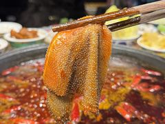 -俏媳妇火锅(宽窄巷子店)