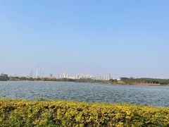 -海珠湖公园