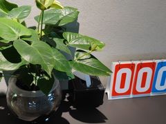 -云川台球(马甸店)