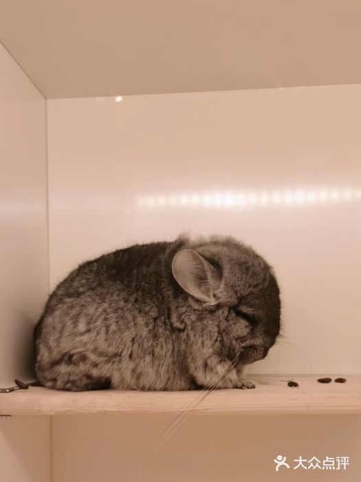 龙猫仔乐园(惠福东路店)图片