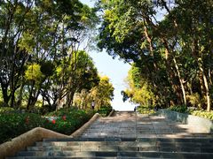 -深圳国际园林花卉博览园