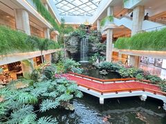 -广州白天鹅宾馆