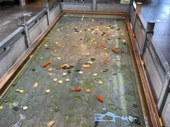 -四季民福烤鸭店(前门店)