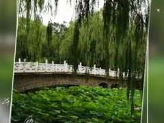 -满都海公园