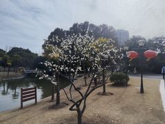 -小杨生煎(金山百联购物中心3楼店)