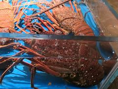 -徐记海鲜(大雁塔|金都店)