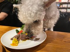 -百好乐宠物友好餐厅(朝外大街店)