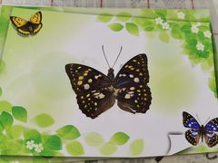 -上海昆虫博物馆