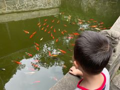 -常德桃花源景区