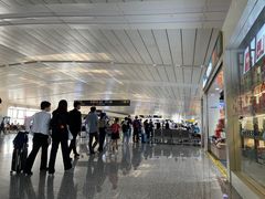 -石家庄正定国际机场-T2航站楼