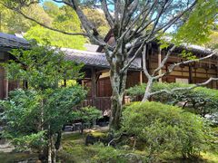 -西芳寺(苔寺)