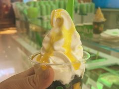 -Salud撒露欧洲冻酸奶(五道口购物中心店)