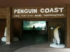 -新加坡飞禽公园