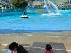 -海合安成都极地海洋公园