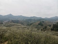 -福建天门山