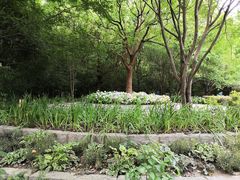 -上海吴淞炮台湾国家湿地公园