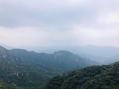 -大岭沟猕猴桃谷风景区