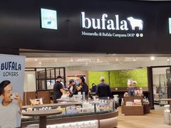 -米兰-马尔彭萨机场