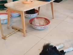 -平行世界·猫咖(首经贸店)