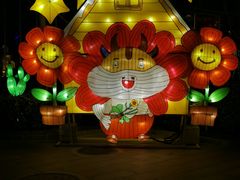 -南宫五洲植物乐园