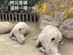 -济南野生动物世界