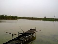 -盐城丹顶鹤湿地生态旅游区