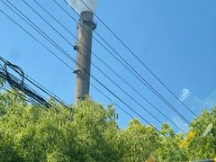 -平湖九龙山旅游度假区