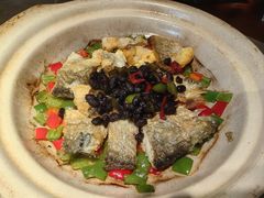 -张家卫·阳江菜·小海鲜(肥婆湾桥店)