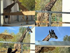 -水上乐园·欢乐世界