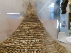 -云中鱼蒸汽石锅鱼(川沙百联店)