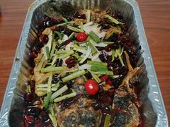 -老板恋上鱼(恒隆广场店)