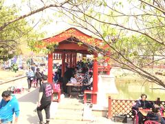 -尚庄度假村·庭台树下·户外烧烤·团建CS·轰趴营地(上庄水库店)