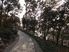 -上海市保健医疗中心