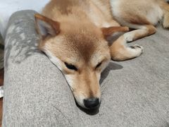 -About Bistro關於·泰式家庭料理