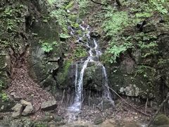 -本溪汤沟绿石谷森林公园