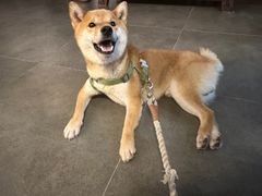 -八珍手工水饺·妈妈的爱(传芳巷店)