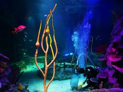 -沈阳海洋探索中心