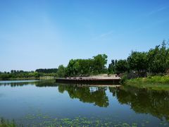 -东郊湿地公园