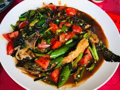 -生态苑农庄(十里画廊遇龙河店)