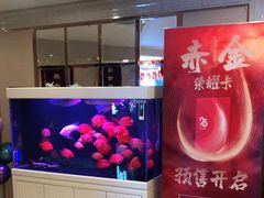 -华夏良子(京密路店)