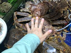 -79号渔船海鲜饭店(华强北店)