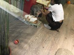 -小时光咖啡馆(开森度假森林店)