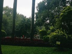 -晓港公园