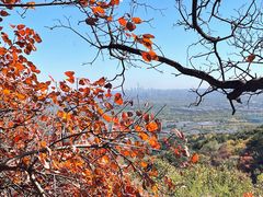 -北京西山国家森林公园