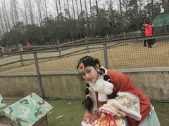 -前小桔亲子创意农场·草莓采摘·露营烧烤
