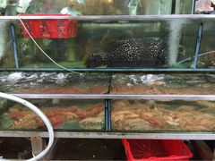 南丫岛-南丫岛
