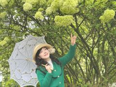 -铁山坪森林公园