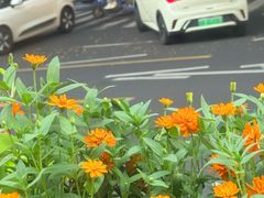 -山姆会员商店(杨桥西路店)