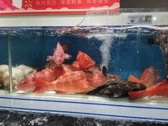 -盒马鲜生(大行宫店)