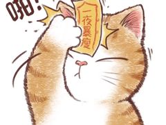 -火锅岛潮牌自助餐厅(天津天佑城店)